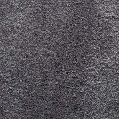 Rug HUARTE Short Pile Soft and Washable Anthracite Ø 160 cm