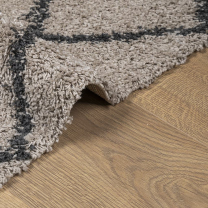 Shaggy Rug PAMPLONA High Pile Modern Beige and Anthracite 60x110 cm