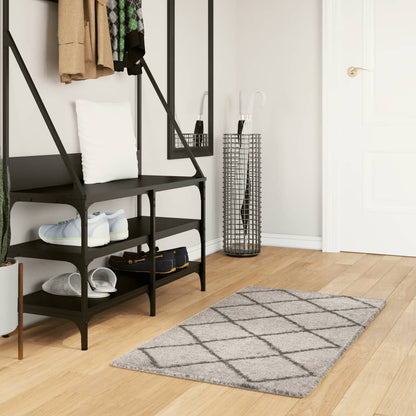 Shaggy Rug PAMPLONA High Pile Modern Beige and Anthracite 60x110 cm