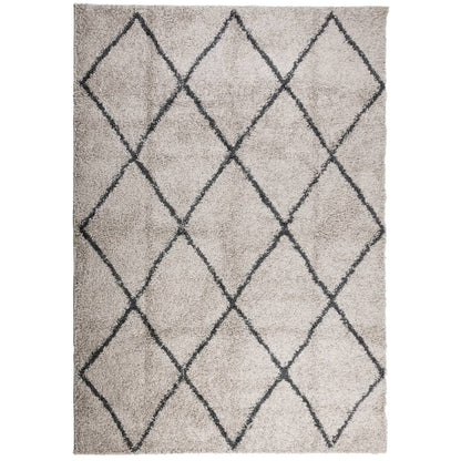 Shaggy Rug PAMPLONA High Pile Modern Beige and Anthracite 140x200 cm