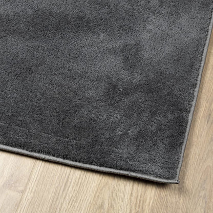 Rug OVIEDO Short Pile Anthracite 60x110 cm