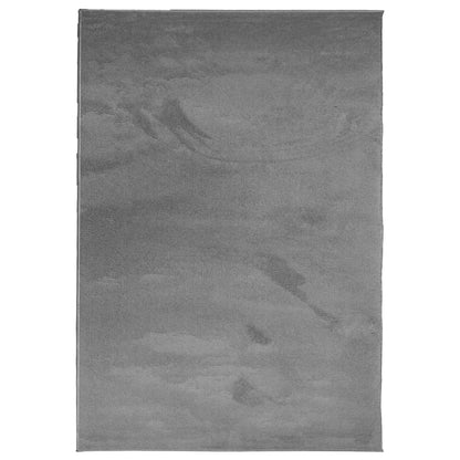 Rug OVIEDO Short Pile Anthracite 120x170 cm