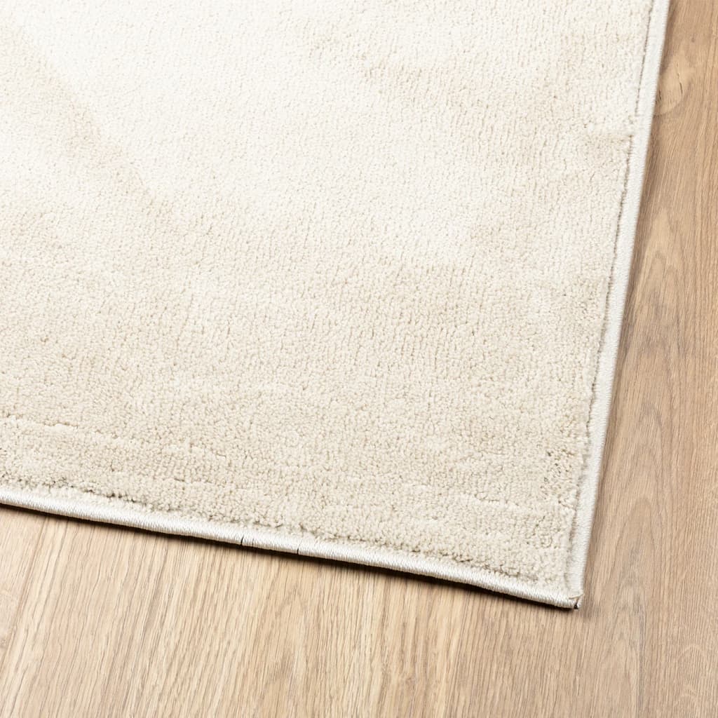 Rug OVIEDO Short Pile Beige 60x110 cm