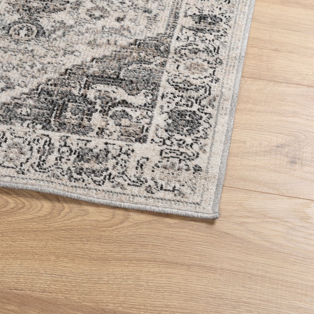 Rug ARBIZU Indoor and Outdoor Vintage Design 140x200 cm