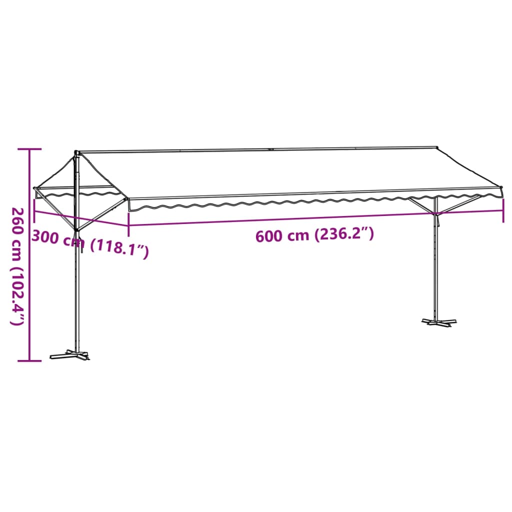 Free Standing Awning Blue and White 600x300 cm Fabric and Steel