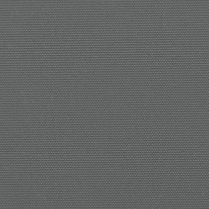 Retractable Side Awning Anthracite 117x300 cm