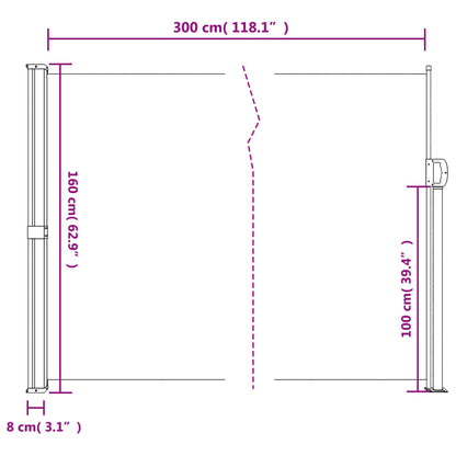 Retractable Side Awning Black 160x300 cm