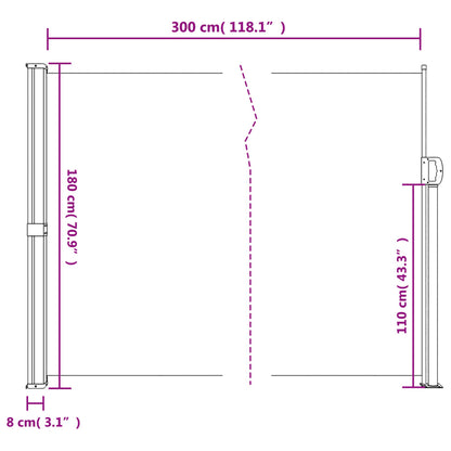 Retractable Side Awning Black 180x300 cm