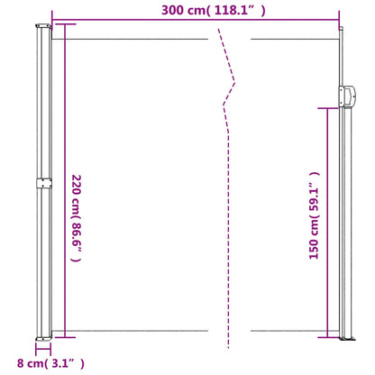 Retractable Side Awning Anthracite 220x300 cm