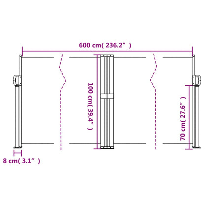 Retractable Side Awning Black 100x600 cm