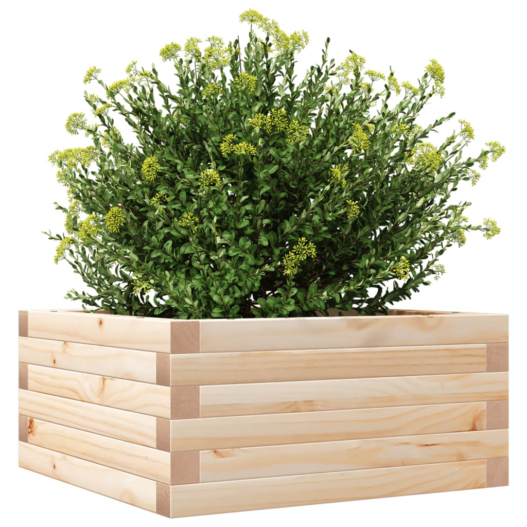 Garden Planter 50x50x23 cm Solid Wood Pine