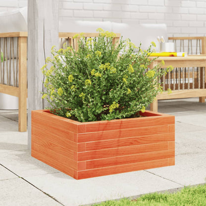 Garden Planter Wax Brown 50x50x23 cm Solid Wood Pine