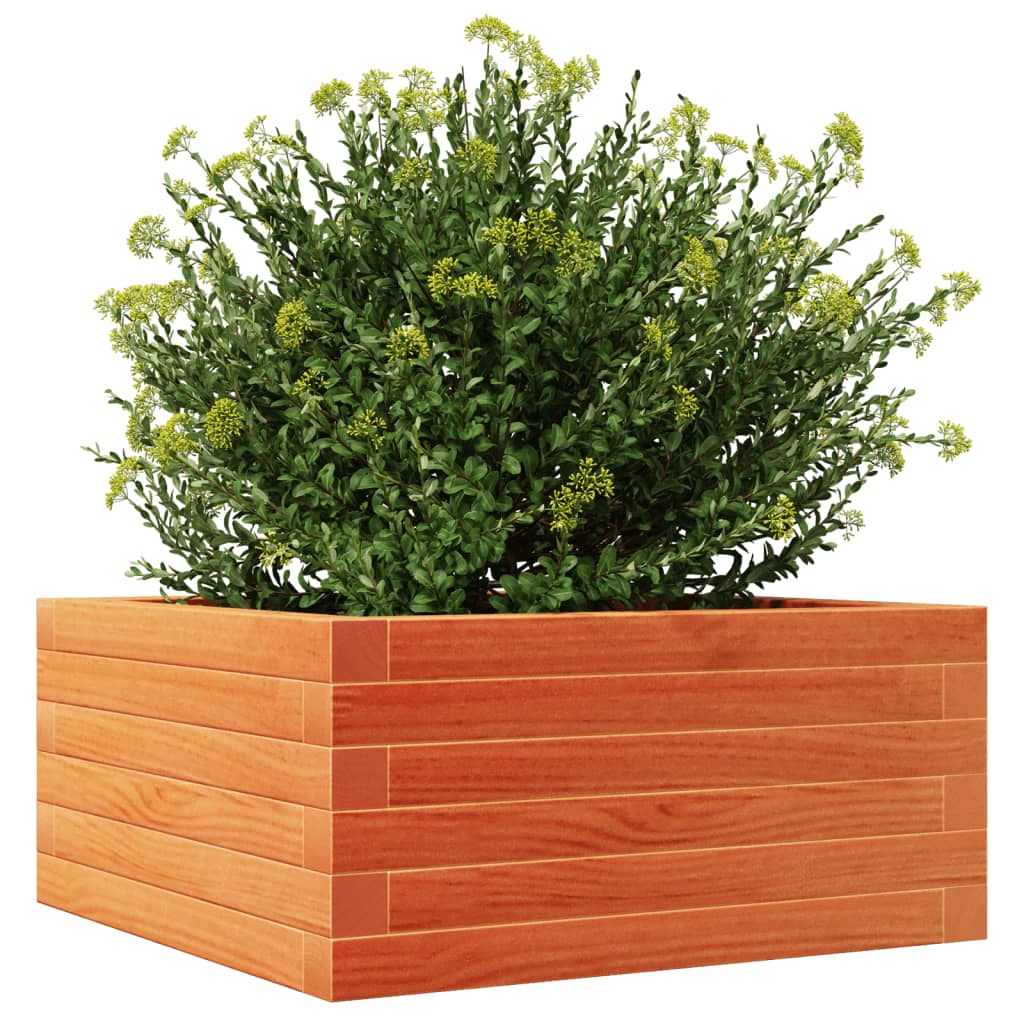 Garden Planter Wax Brown 50x50x23 cm Solid Wood Pine