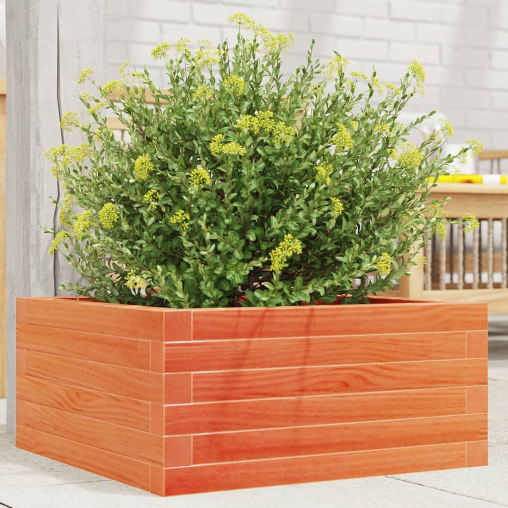 Garden Planter Wax Brown 50x50x23 cm Solid Wood Pine