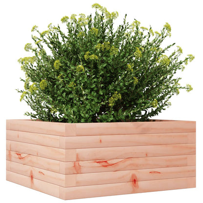 Garden Planter 50x50x23 cm Solid Wood Douglas