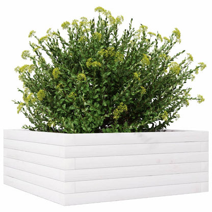 Garden Planter White 60x60x23 cm Solid Wood Pine