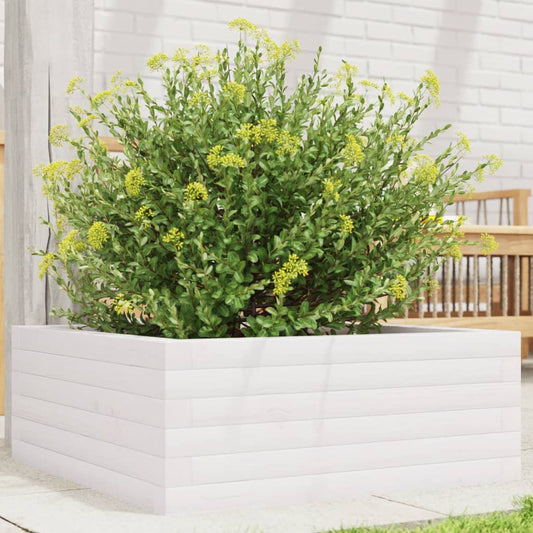 Garden Planter White 60x60x23 cm Solid Wood Pine