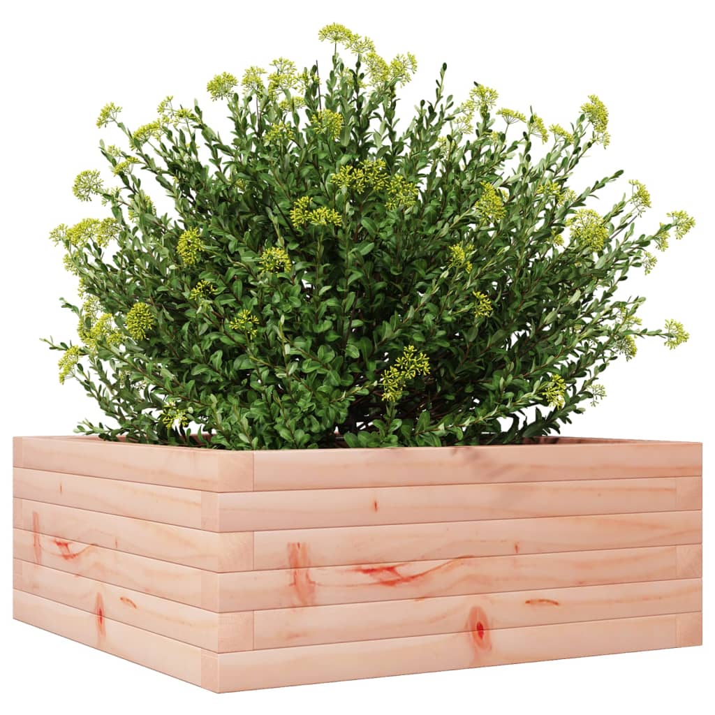 Garden Planter 60x60x23 cm Solid Wood Douglas