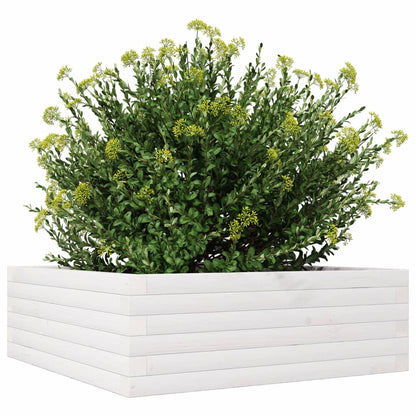 Garden Planter White 70x70x23 cm Solid Wood Pine