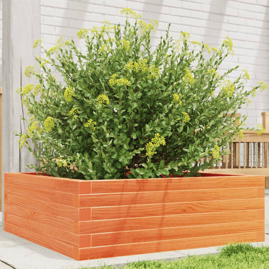 Garden Planter Wax Brown 70x70x23 cm Solid Wood Pine