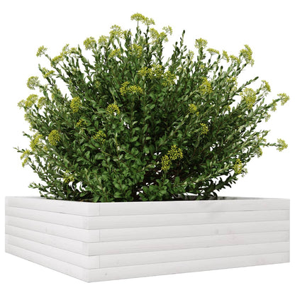 Garden Planter White 80x80x23 cm Solid Wood Pine