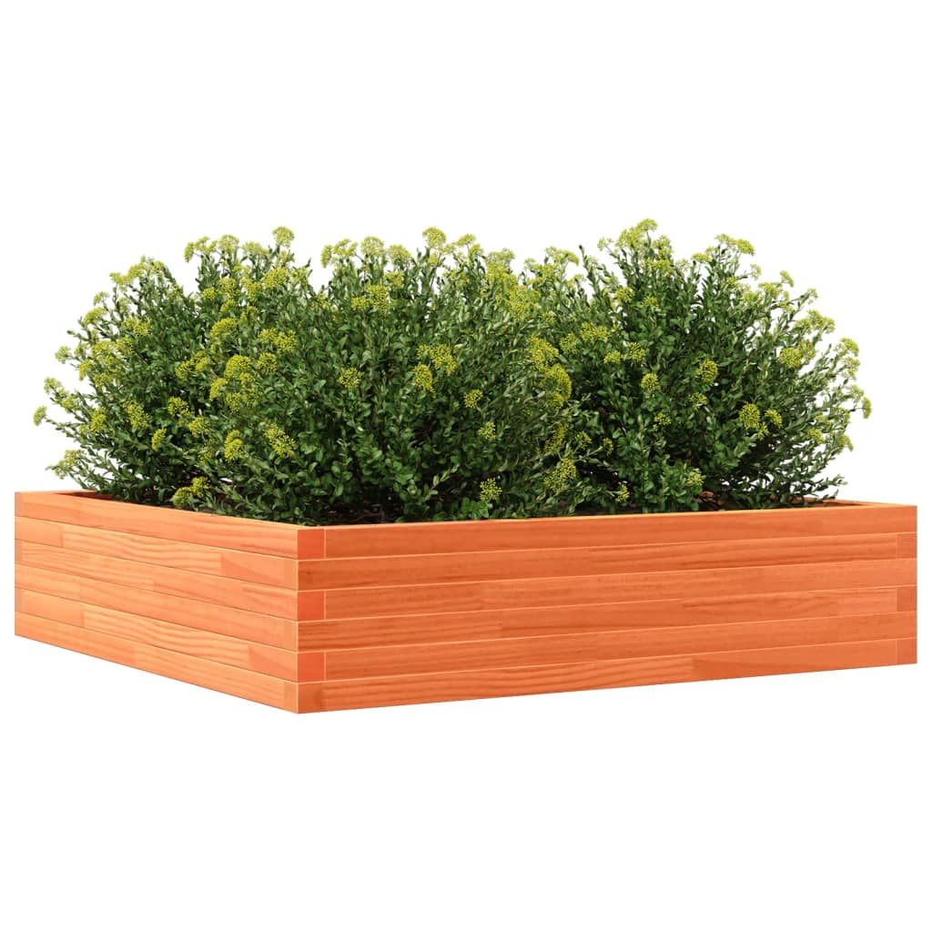 Garden Planter Wax Brown 100x100x23 cm Solid Wood Pine