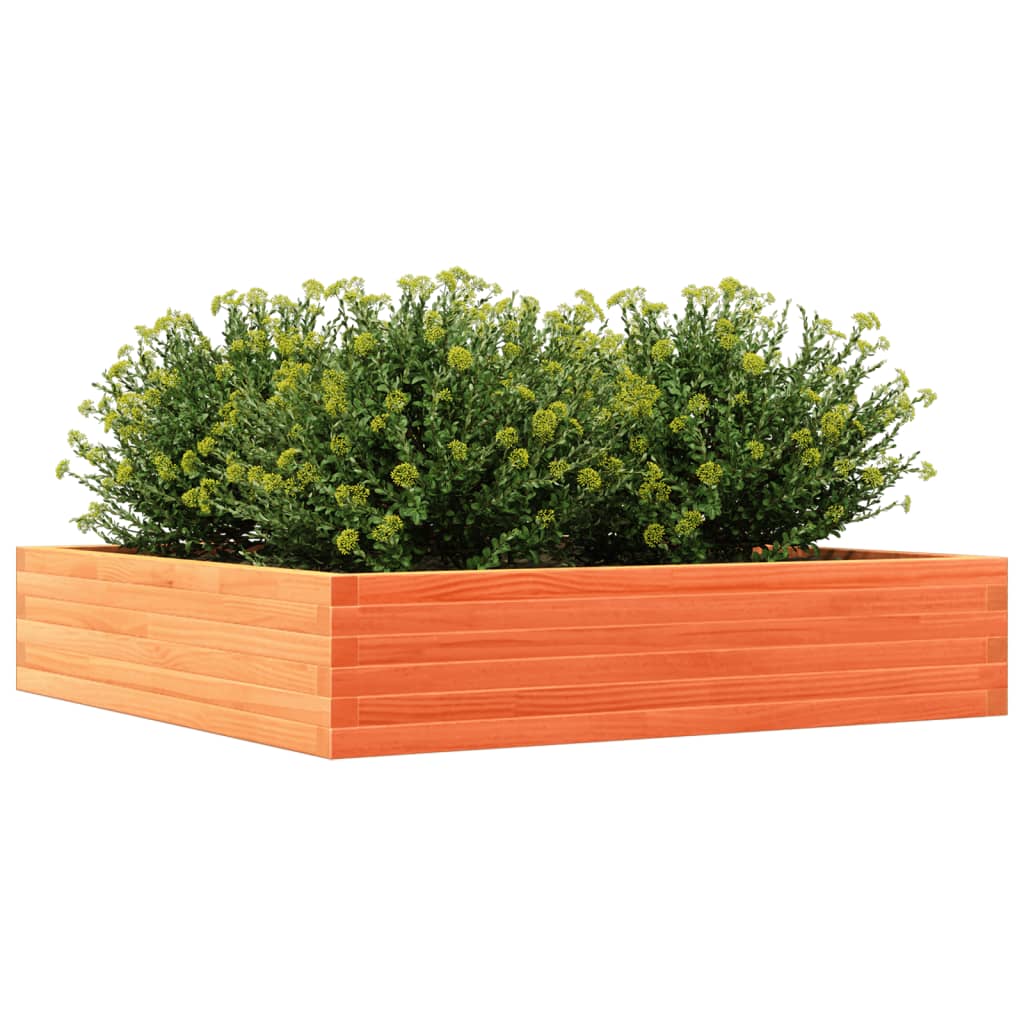 Garden Planter Wax Brown 110x110x23 cm Solid Wood Pine