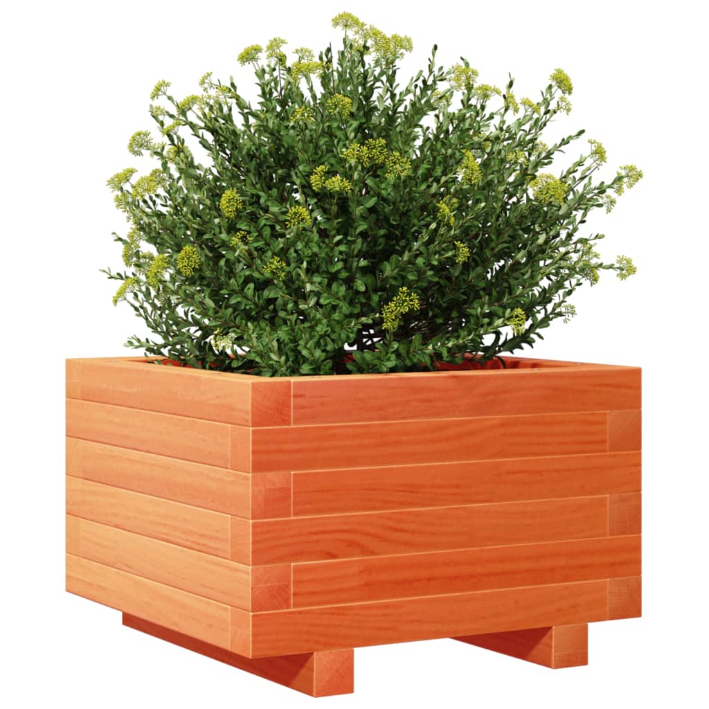 Garden Planter Wax Brown 40x40x26.5 cm Solid Wood Pine