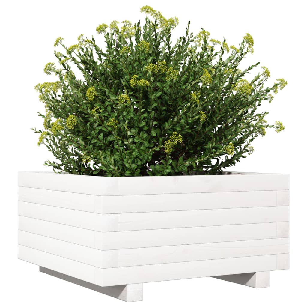 Garden Planter White 50x50x26.5 cm Solid Wood Pine