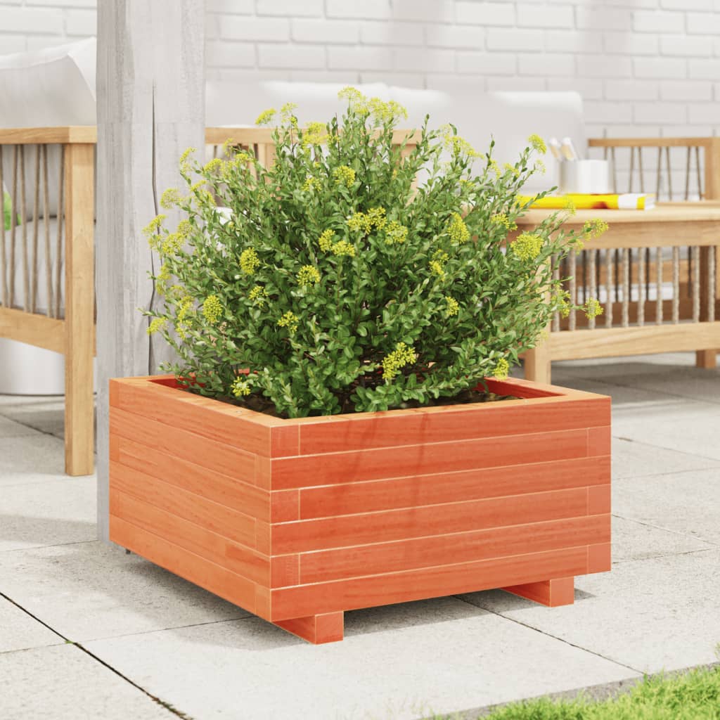 Garden Planter Wax Brown 50x50x26.5 cm Solid Wood Pine