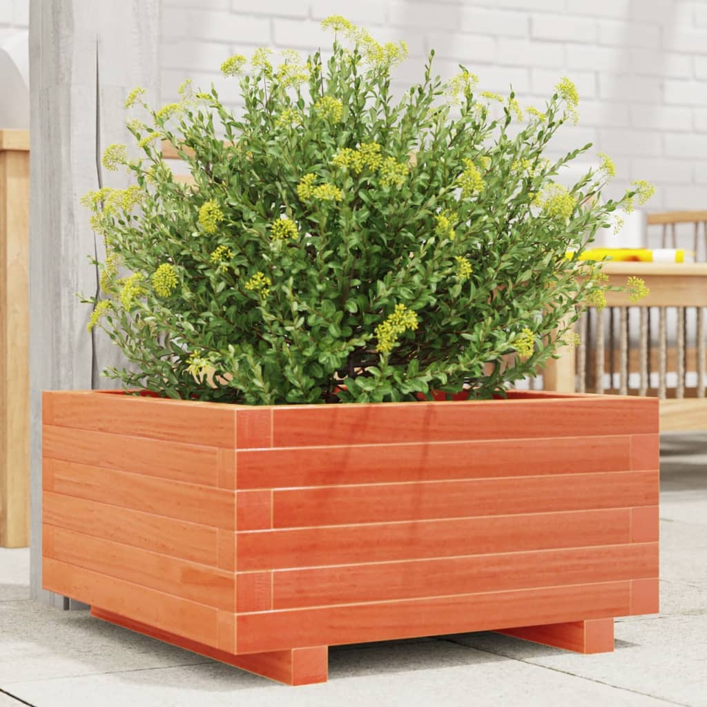 Garden Planter Wax Brown 50x50x26.5 cm Solid Wood Pine