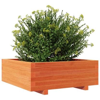 Garden Planter Wax Brown 70x70x26.5 cm Solid Wood Pine