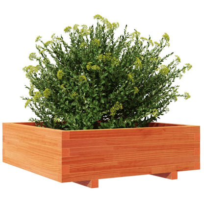 Garden Planter Wax Brown 80x80x26.5 cm Solid Wood Pine