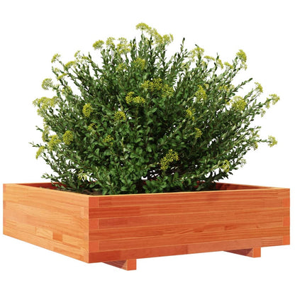 Garden Planter Wax Brown 90x90x26.5 cm Solid Wood Pine