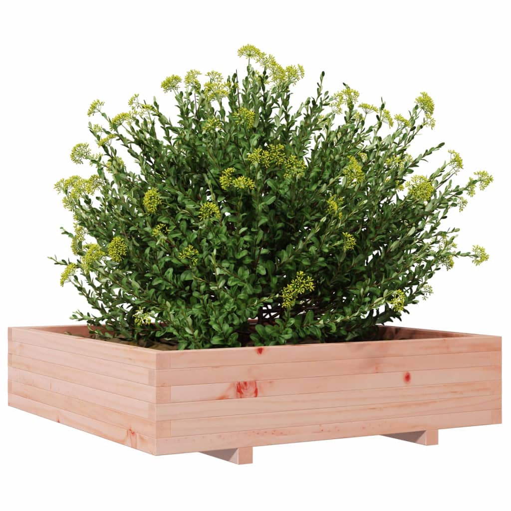 Garden Planter 100x100x26.5 cm Solid Wood Douglas