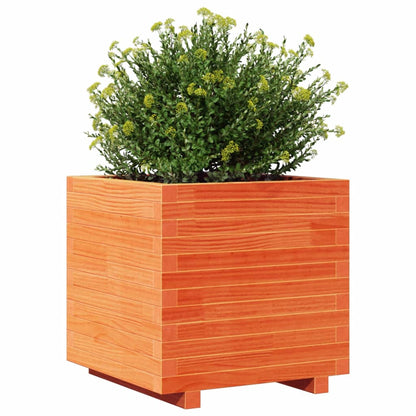 Garden Planter Wax Brown 50x50x49.5 cm Solid Wood Pine