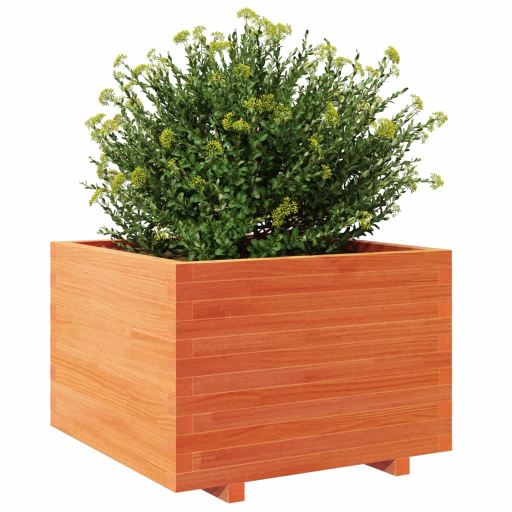Garden Planter Wax Brown 70x70x49.5 cm Solid Wood Pine