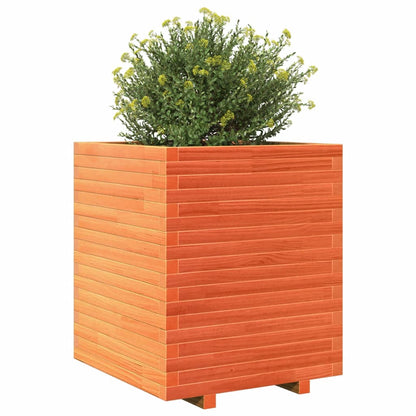 Garden Planter Wax Brown 60x60x72 cm Solid Wood Pine