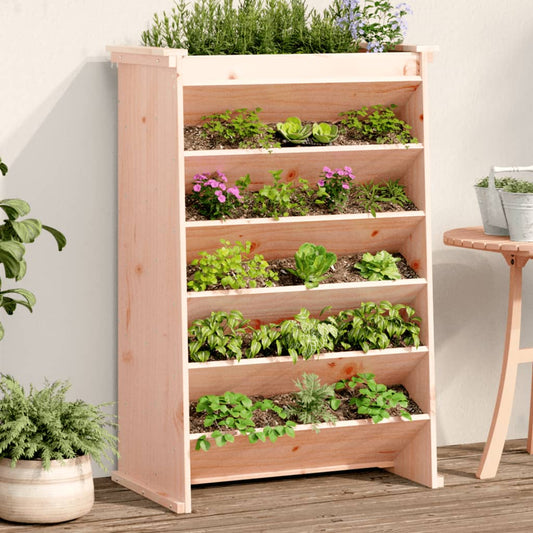 Herb Planter 6-Tier 69x40x101.5 cm Solid Wood Douglas