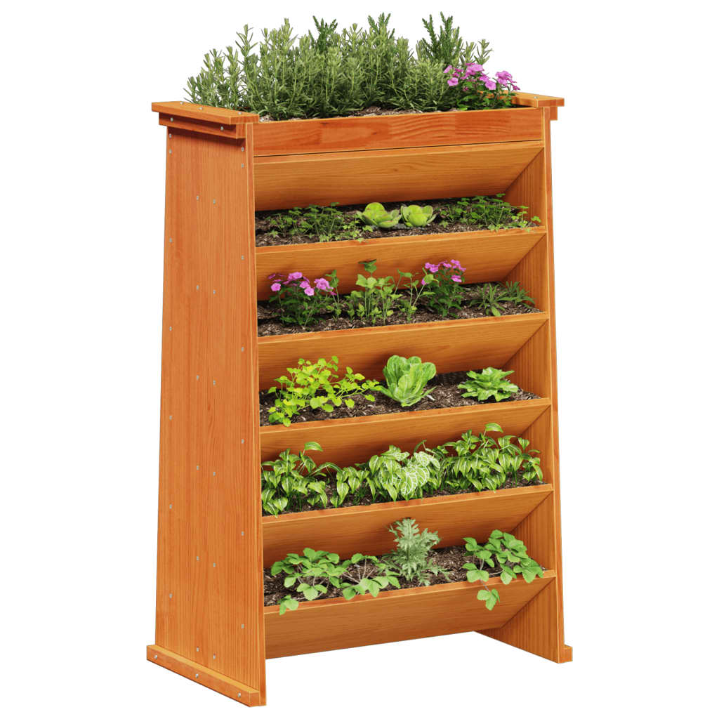 Herb Planter 6-Tier Wax Brown 69x40x101.5 cm Solid Wood Pine