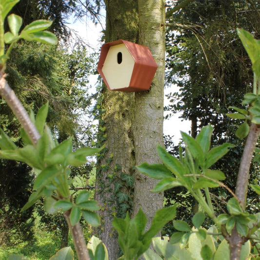 Capi Bird House Hive 2 19x23x20 cm Oval Hole Brown
