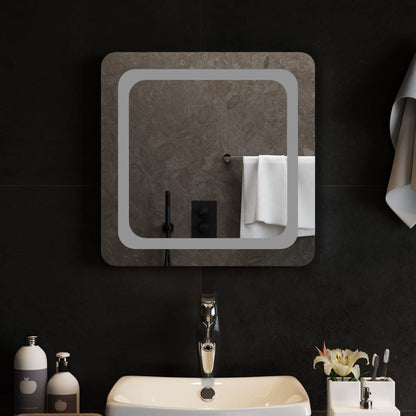 LED Bathroom Mirror 50x50 cm
