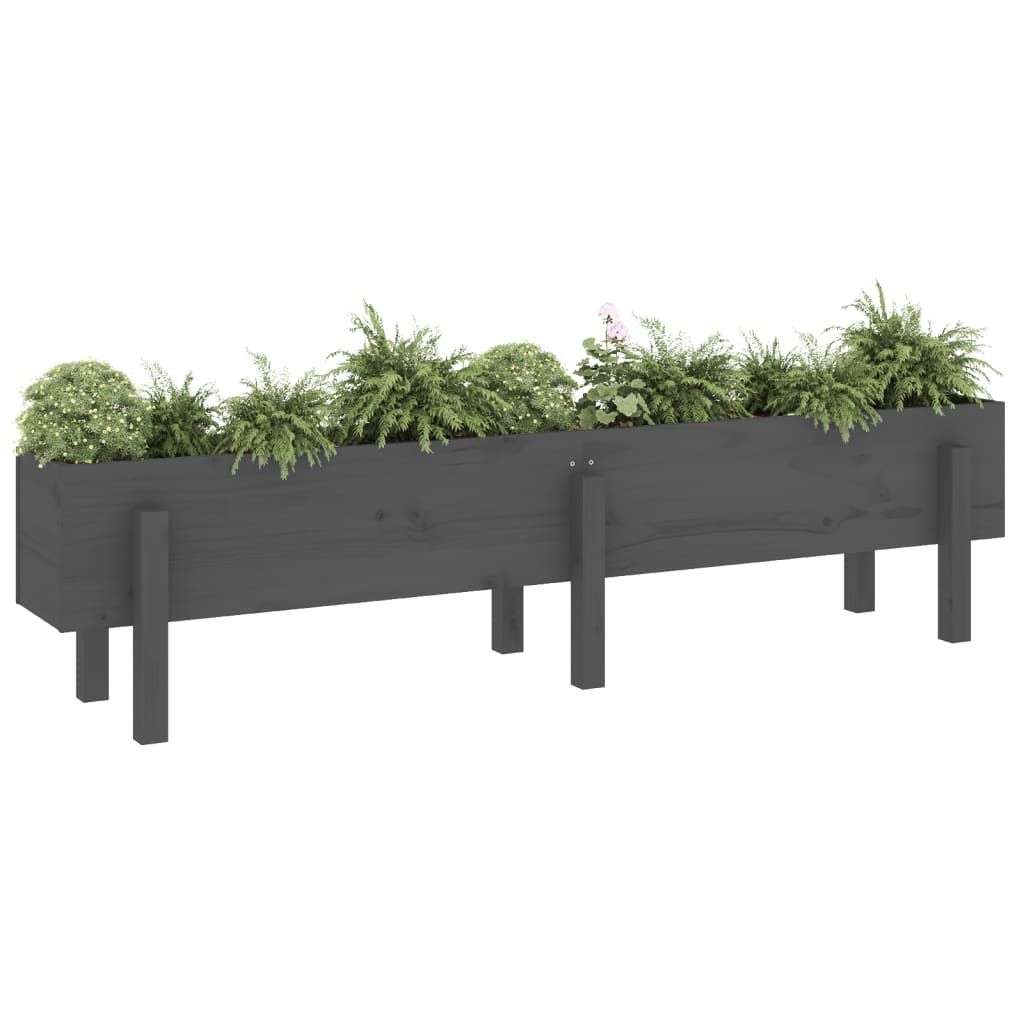 Garden Raised Bed Grey 160x30x38 cm Solid Wood Pine