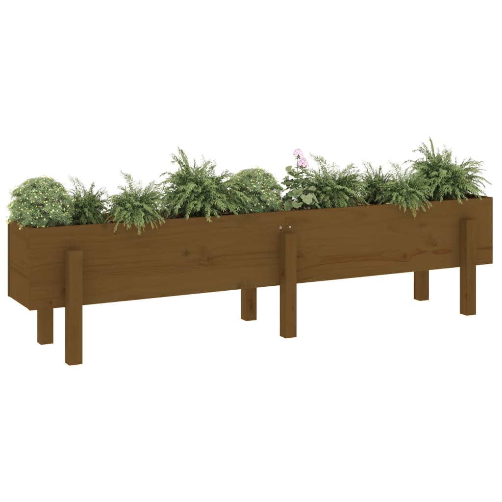 Garden Raised Bed Honey Brown 160x30x38 cm Solid Wood Pine