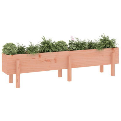 Garden Raised Bed 160x30x38 cm Solid Wood Douglas