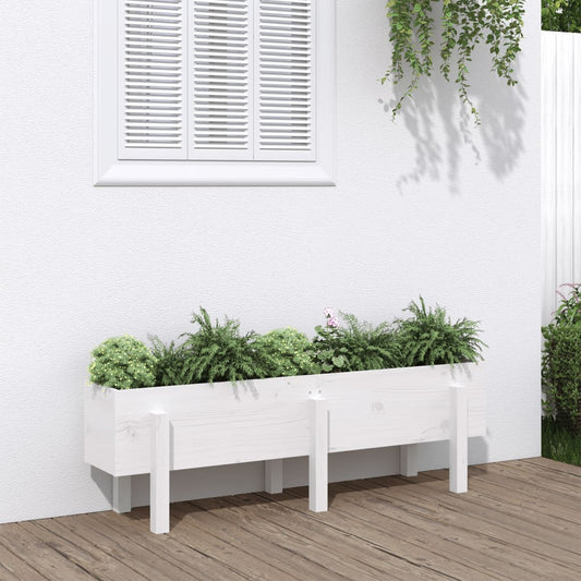 Garden Raised Bed White 121x30x38 cm Solid Wood Pine