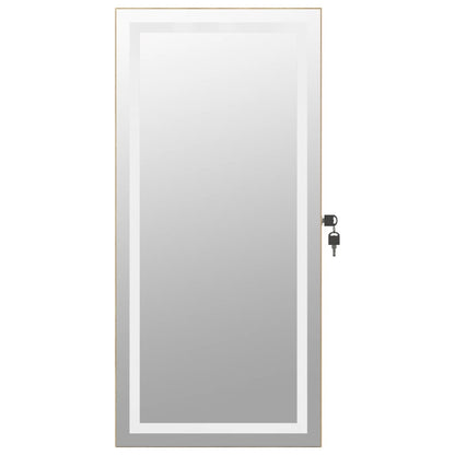 Mirror Jewellery Cabinet with LED Lights Wall Mounted