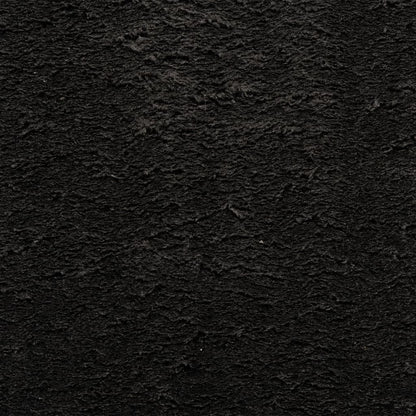 Rug HUARTE Short Pile Soft and Washable Black 120x170 cm