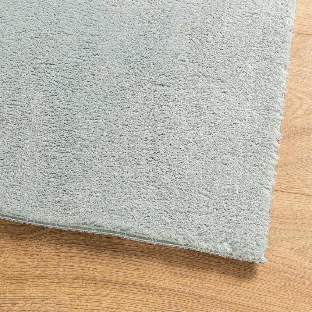 Rug HUARTE Short Pile Soft and Washable Blue 80x150 cm